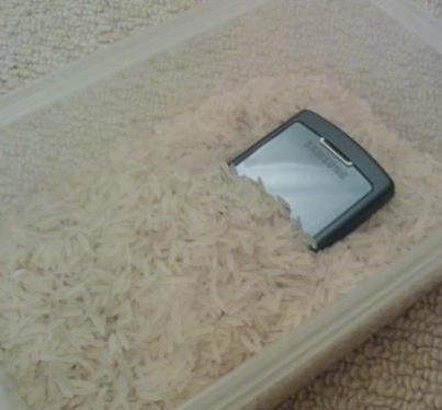 Arroz e aparelhos celulares