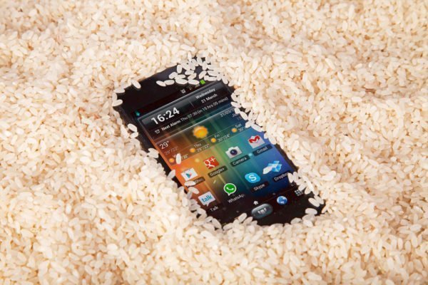 Celular no arroz