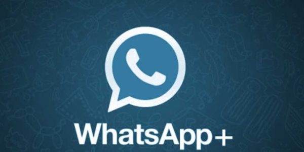 WhatsApp +
