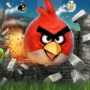 Angry Birds e outros jogos para Windows Phone 7